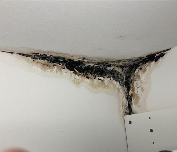Fieldston NY Unnoticed Mold In Closet Long term Leak Before